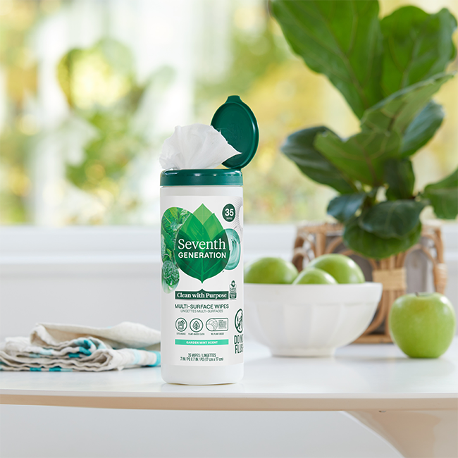 Multi-Surface Wipes - Garden Mint for Everyday Surface Cleaning
